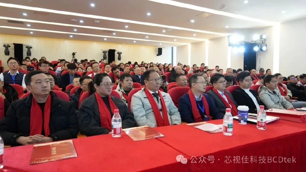 芯視佳2026年全球合作伙伴大會順利召開：共話合作新框架 共繪產業新藍圖