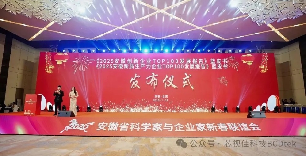【喜報】芯視佳榮登2025安徽創新企業TOP100榜單