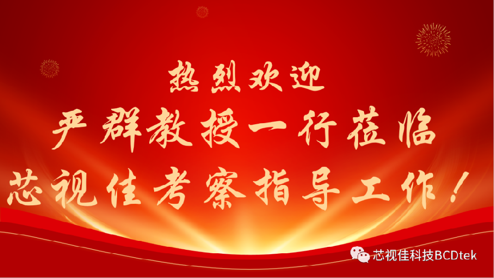 嚴(yán)群教授一行蒞臨深圳市芯視佳半導(dǎo)體科技有限公司考察并指導(dǎo)工作！