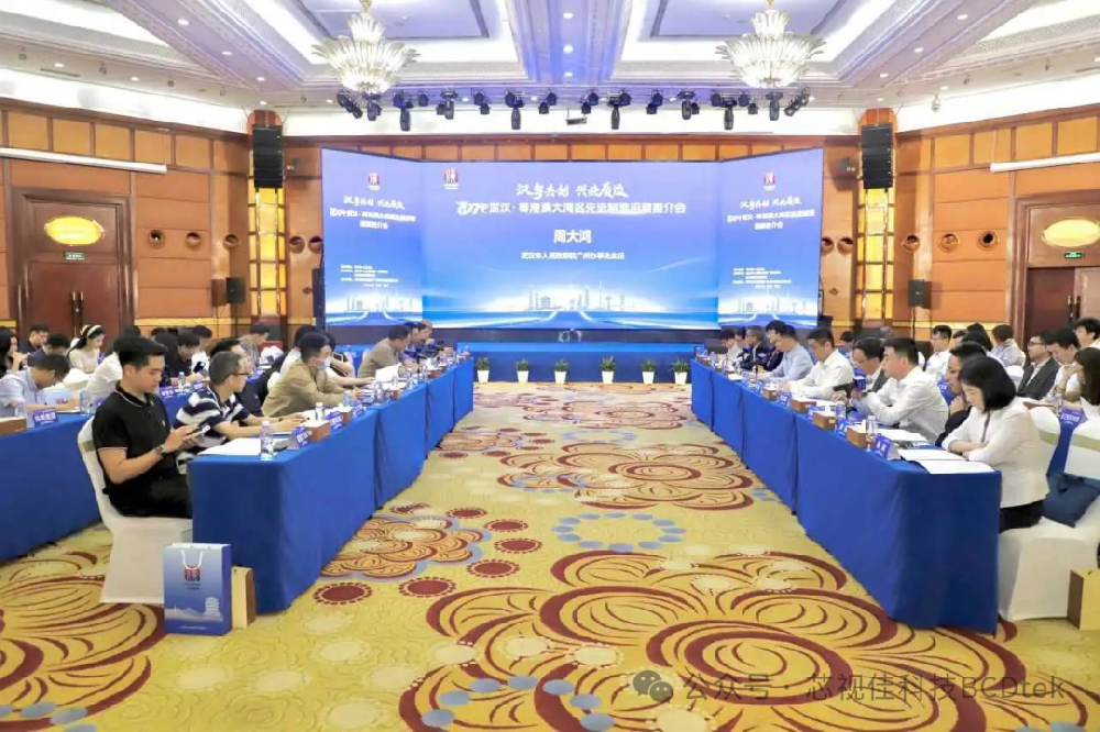 企業動態|芯視佳應邀參加2024武漢?粵港澳大灣區產業活動