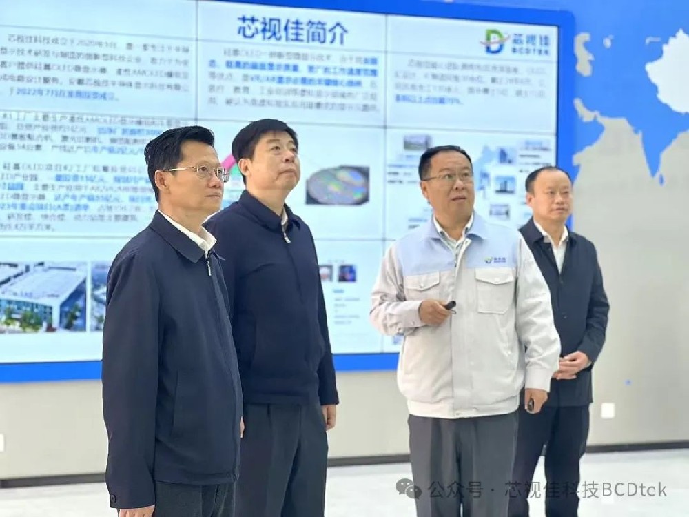 省社會工作部部長陳韶光調(diào)研芯視佳科技非公黨建工作